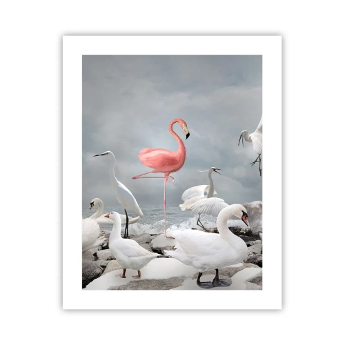 Affisch - Hur har jag hamnat här? - 40x50 cm