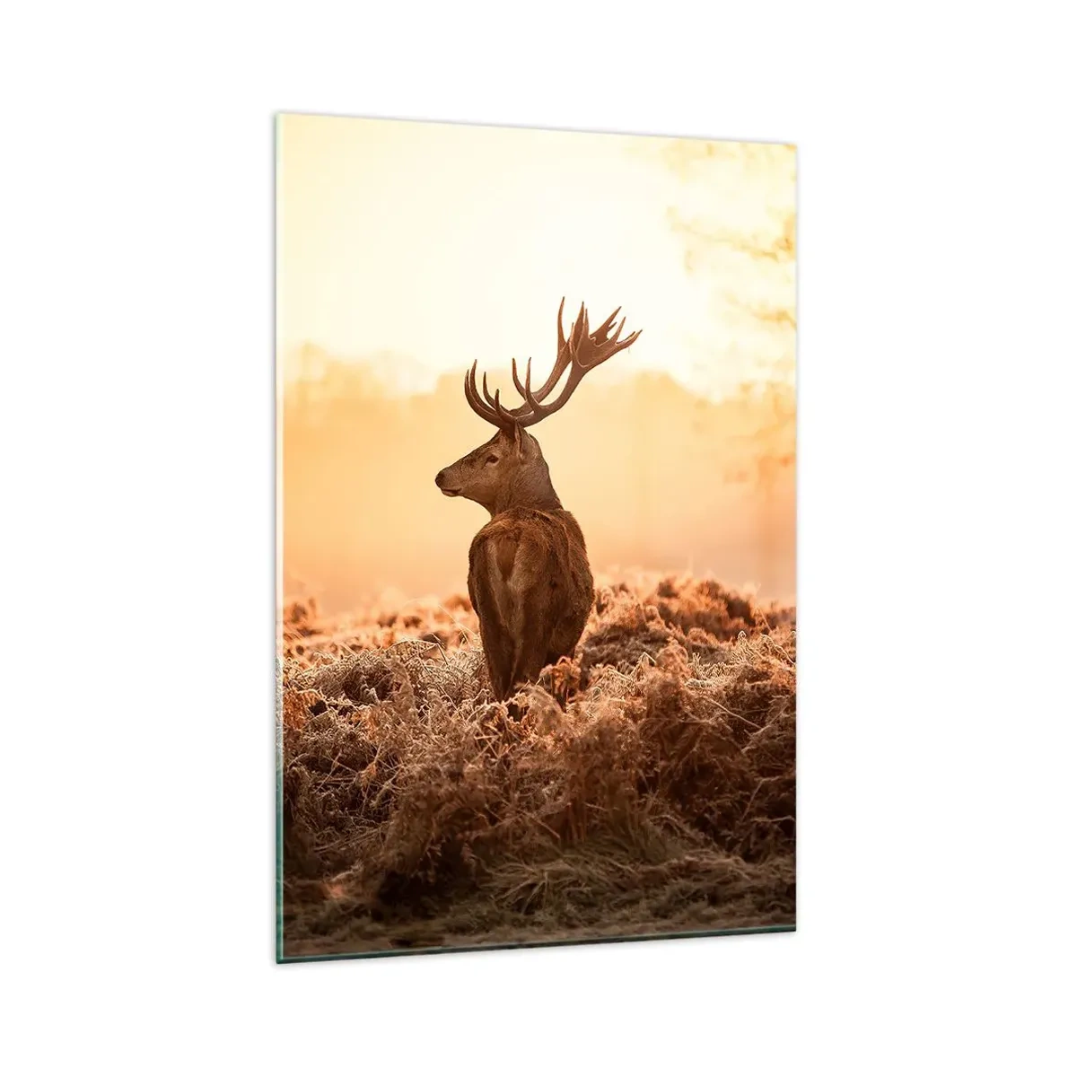 Glastavla - Bild på glas - Herre på godset - 80x120 cm