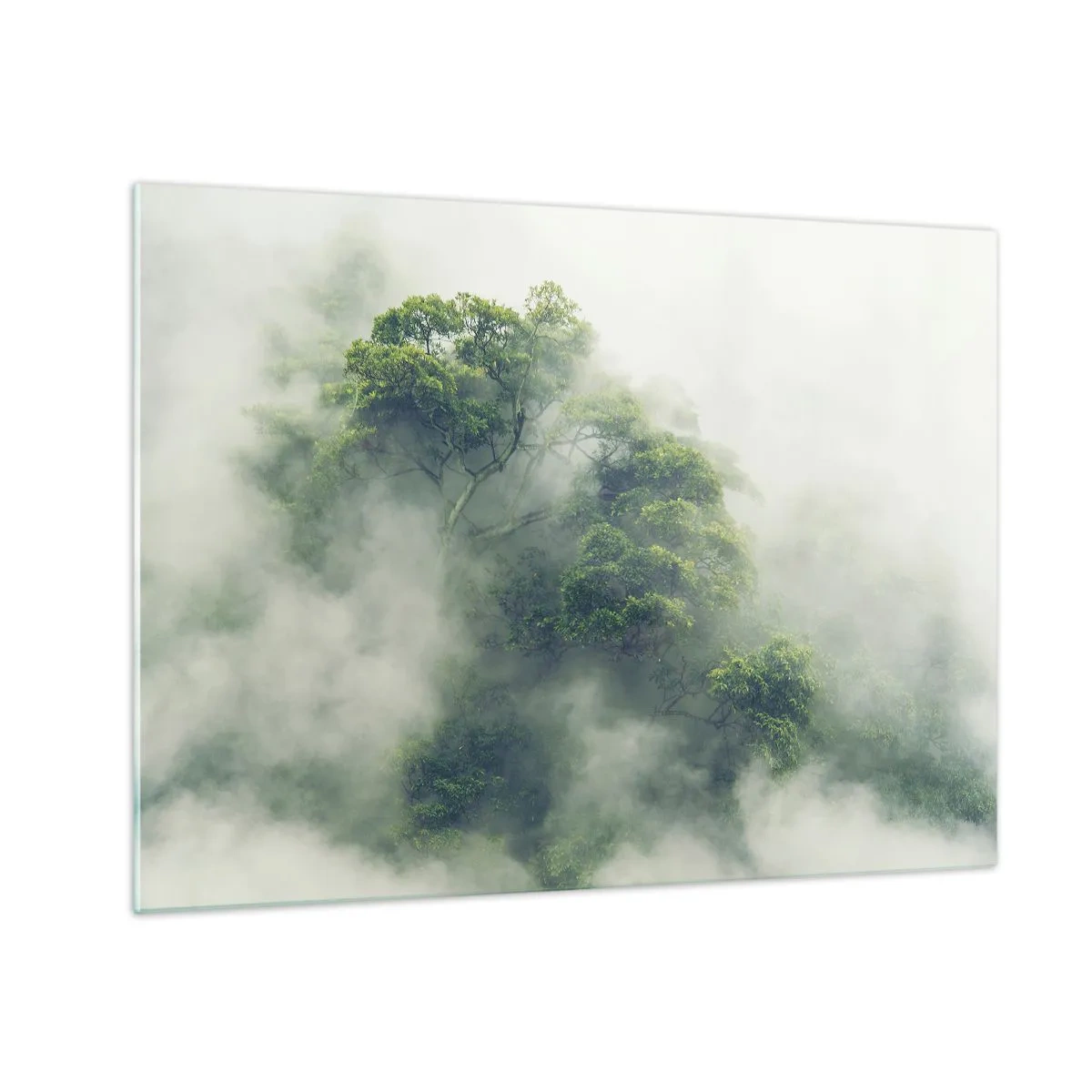 Glastavla - Bild på glas - Tropiska skogsträd som kommer fram ur tjock dimma - 70x50cm - Insvept i dimma - Modern väggdekoration för vardagsrum och sovrum ARTTOR