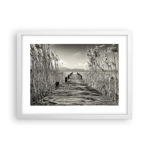 Affisch i vit ram - I gräsets fristad - 40x30 cm