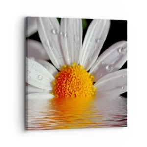 Canvastavla - Bild på duk - Prästkrages uppstigande sol - 30x30 cm