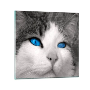 Glastavla - Bild på glas - Ovanligt blåögd - 30x30 cm