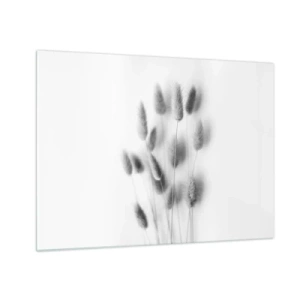 Glastavla - Bild på glas - Svarta och vita gräsöron på en ljus bakgrund i minimalistisk stil - 70x50cm - Fluffigt gräs - Modern väggdekoration för vardagsrum och sovrum ARTTOR