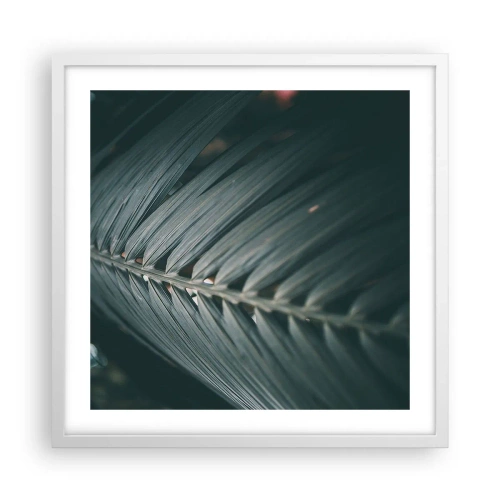 Affisch i vit ram - Naturens precision - 50x50 cm