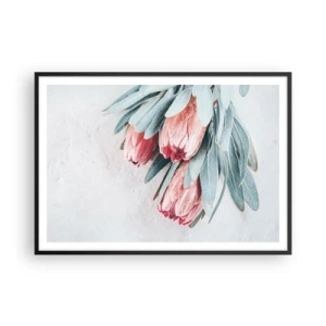 Affisch i svart ram - Generad av sin skönhet - 100x70 cm