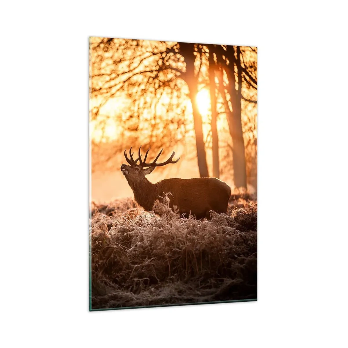 Glastavla - Bild på glas - Jägarens dröm - 80x120 cm