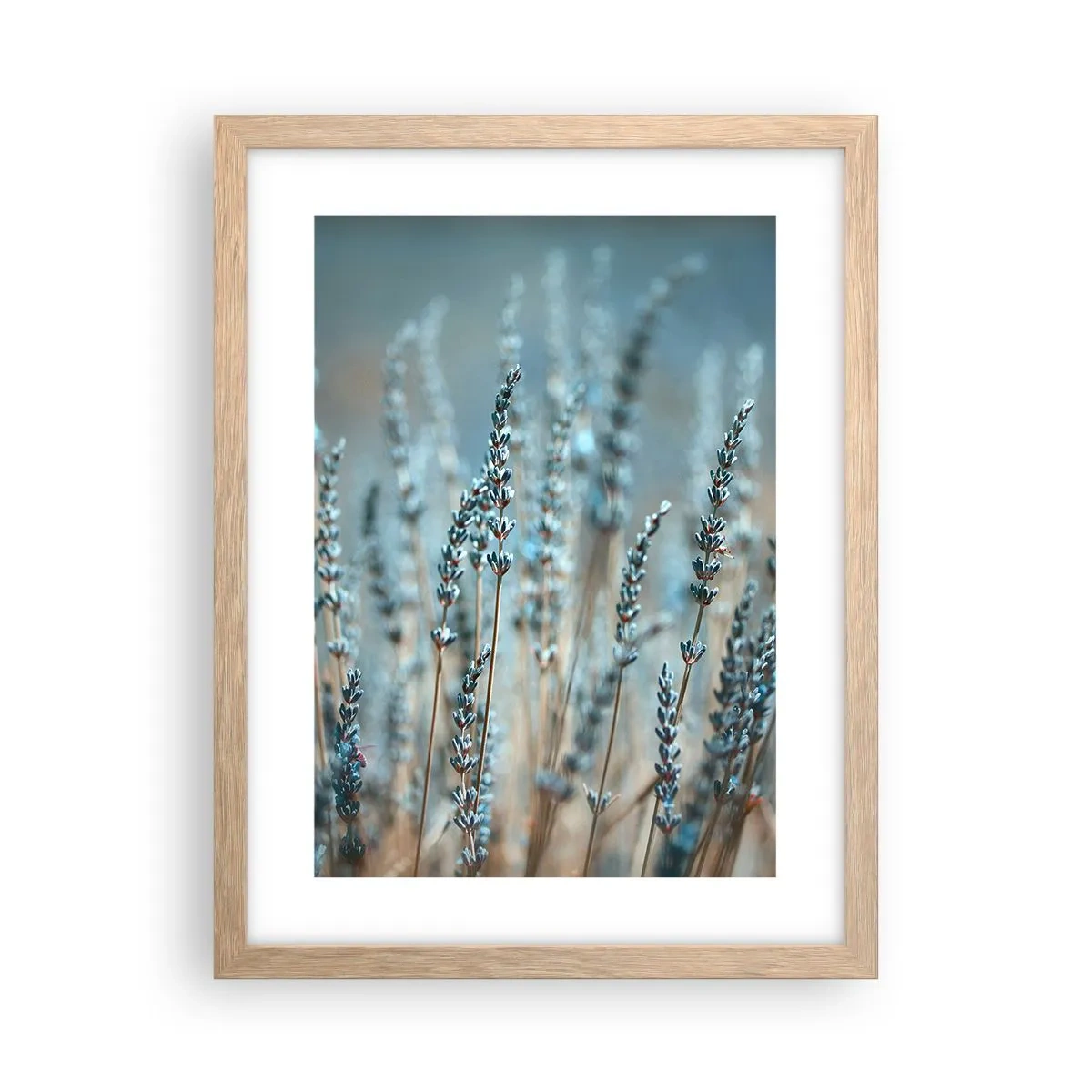 Affisch i ram av ljusek - Doftande åkermark - 30x40 cm