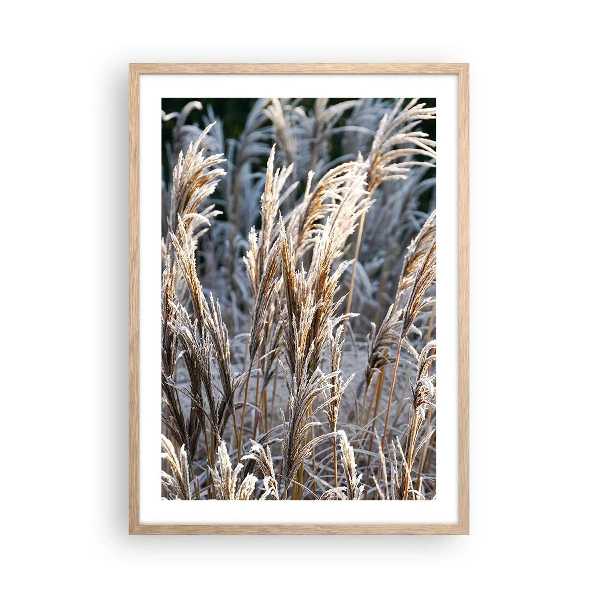Affisch i ram av ljusek - Frostprydda - 50x70 cm