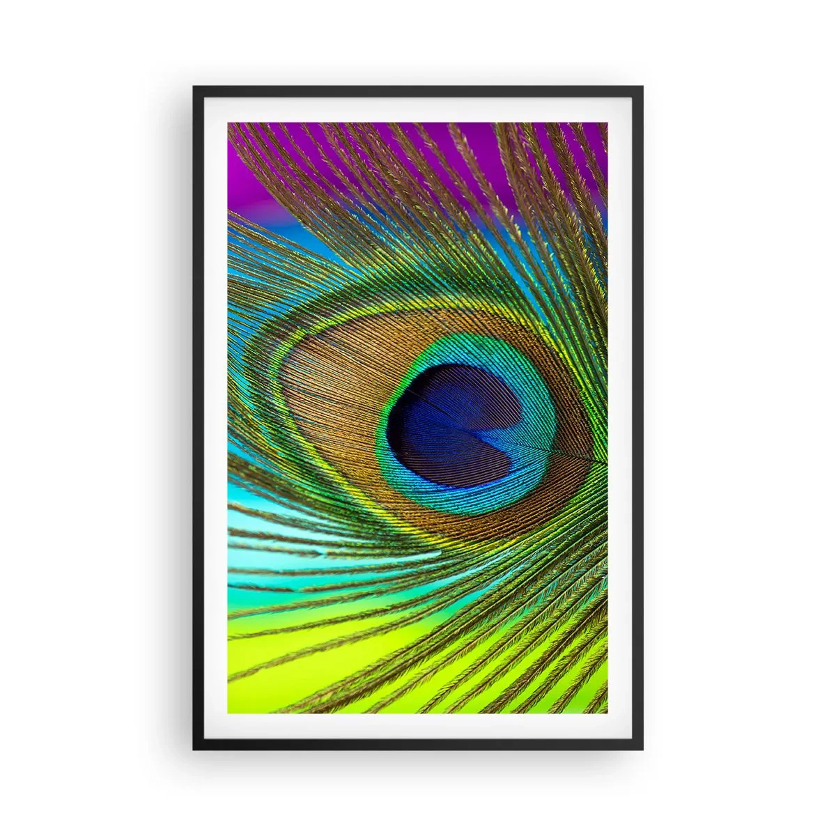 Affisch i svart ram - Öga mot öga - 61x91 cm