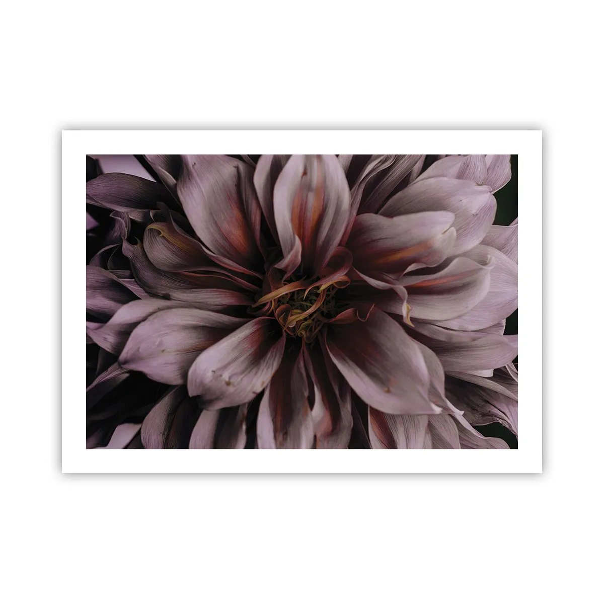 Affisch - Blommigt hjärta - 70x50 cm