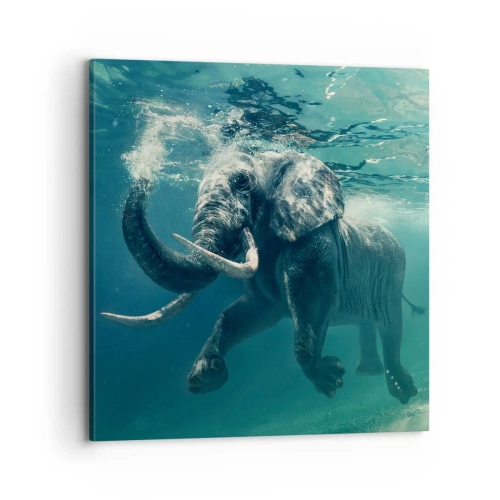 Canvastavla - Bild på duk - Alla tycker om att simma - 70x70 cm