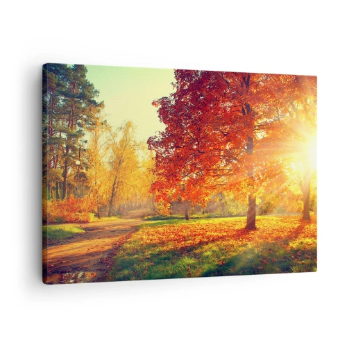 Canvastavla - Bild på duk - Höstpark upplyst av solljus - 70x50cm - Rött är vackert - Modern väggdekoration för vardagsrum och sovrum ARTTOR