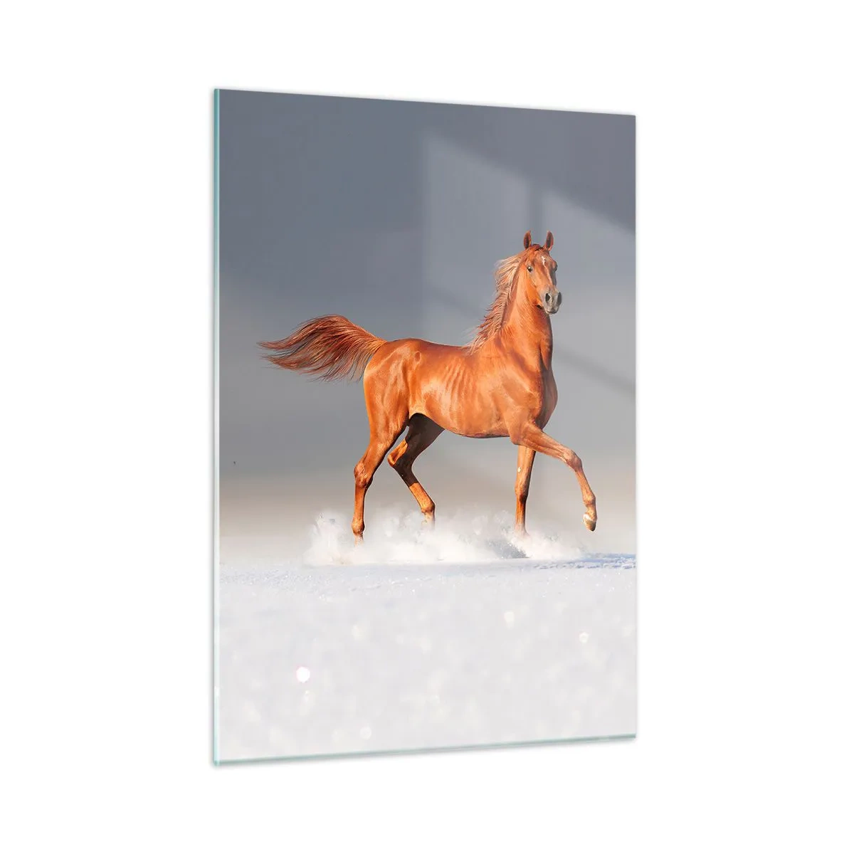 Glastavla - Bild på glas - Dansande grace - 50x70 cm