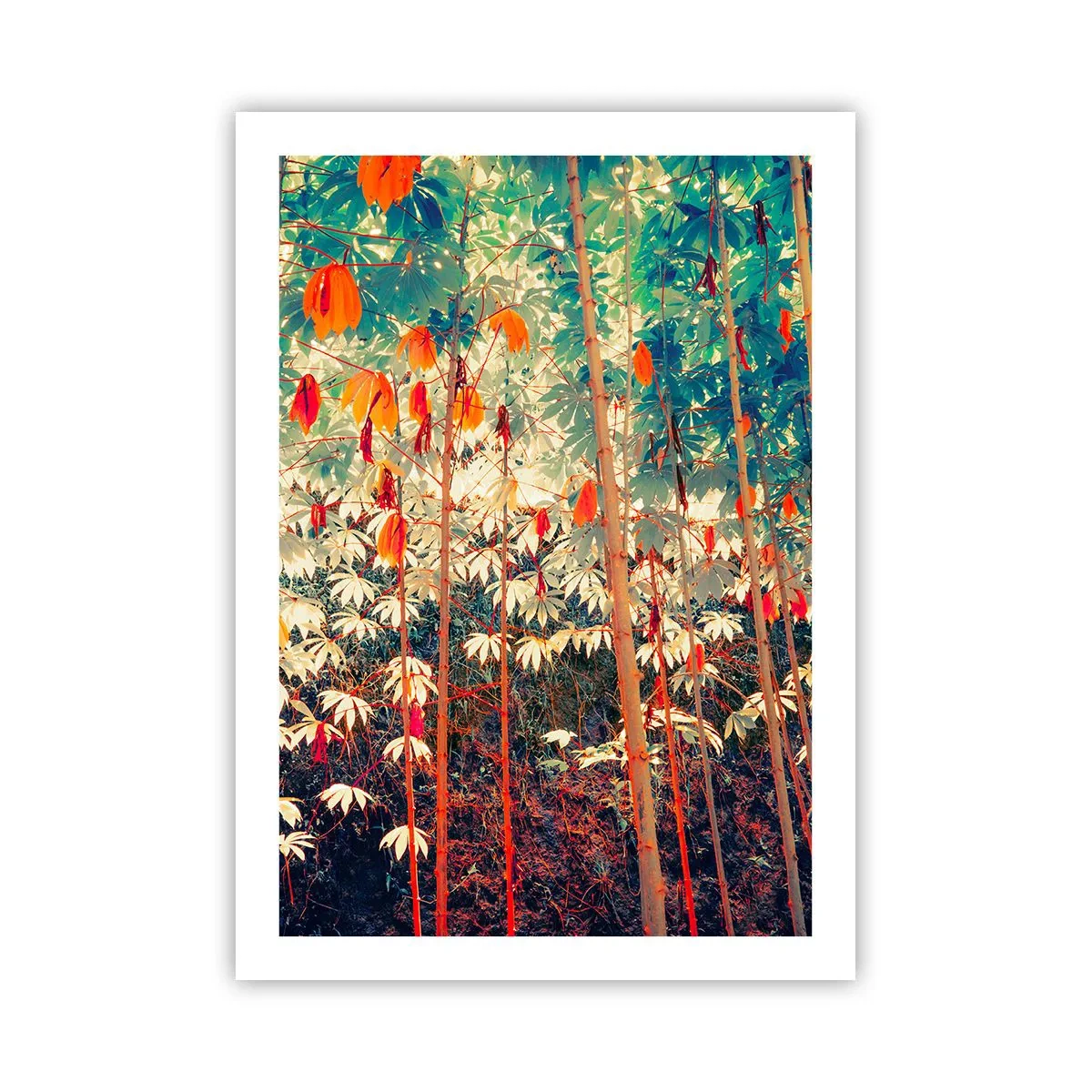 Affisch - Lövbladens hemlighetsfulla liv - 50x70 cm