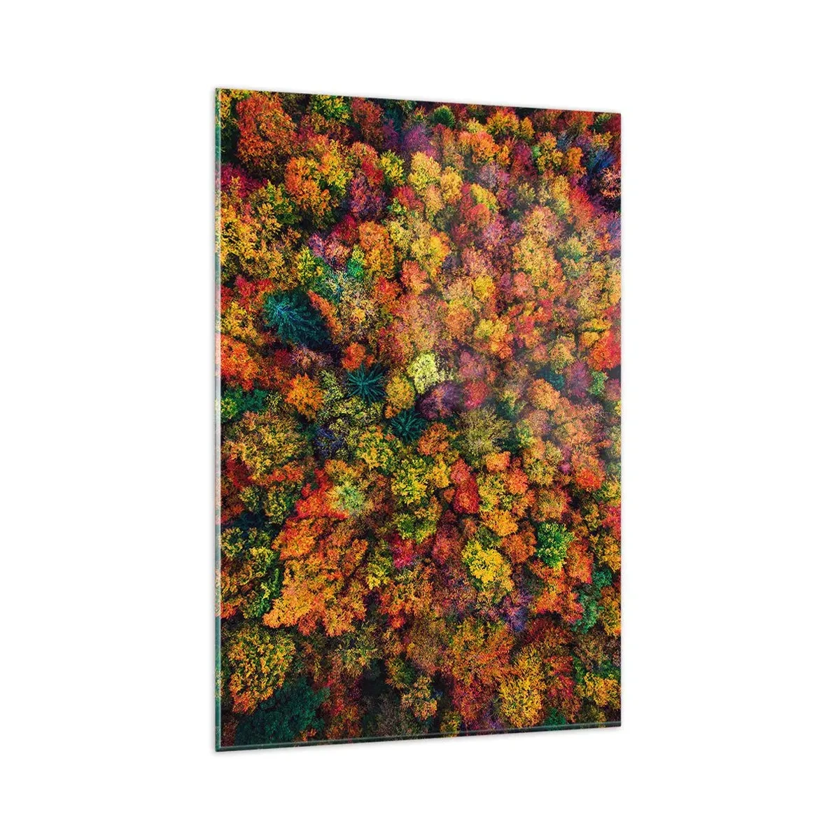 Glastavla - Bild på glas - Höstträdens bukett - 80x120 cm