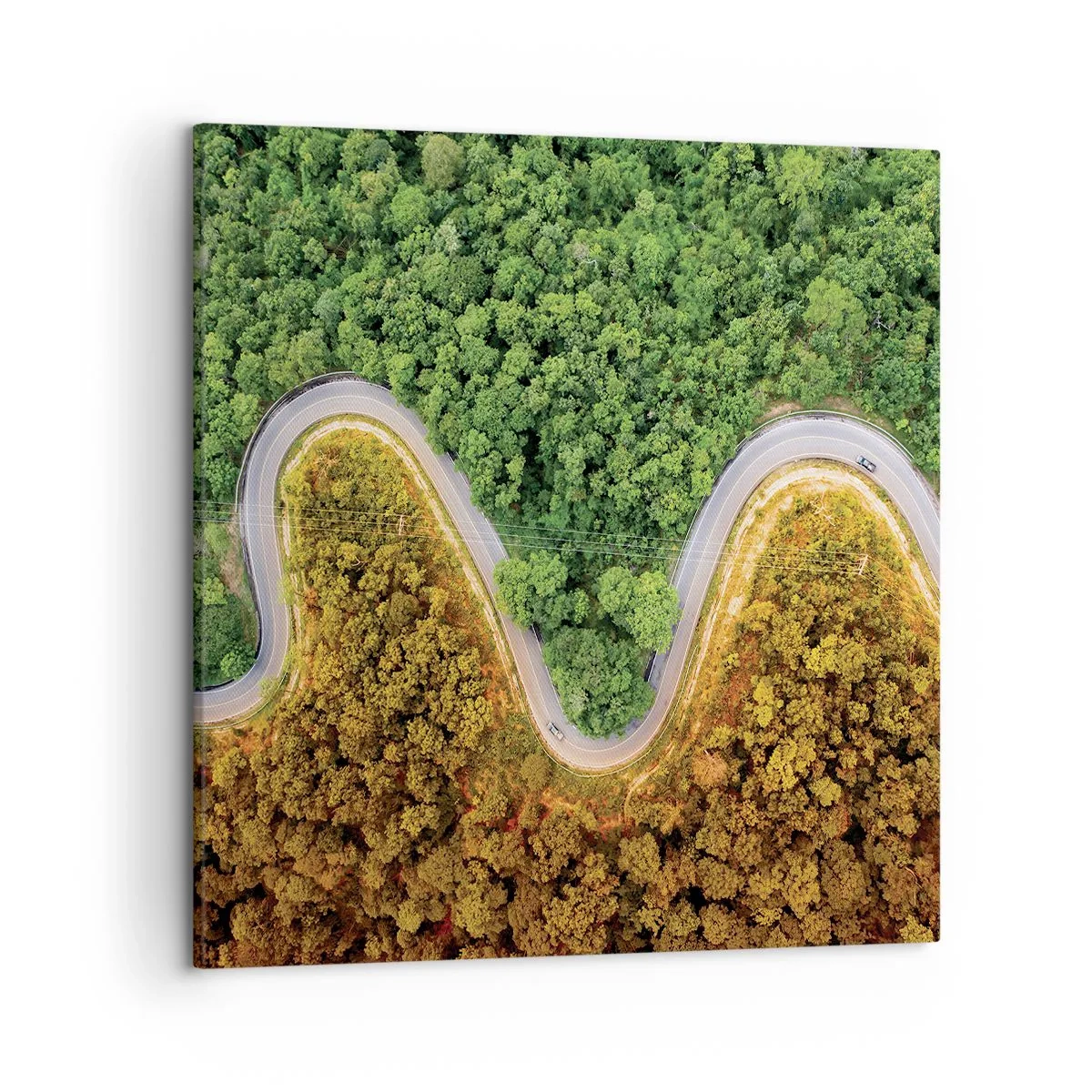 Canvastavla - Bild på duk - Gränser och genombrott - 50x50 cm