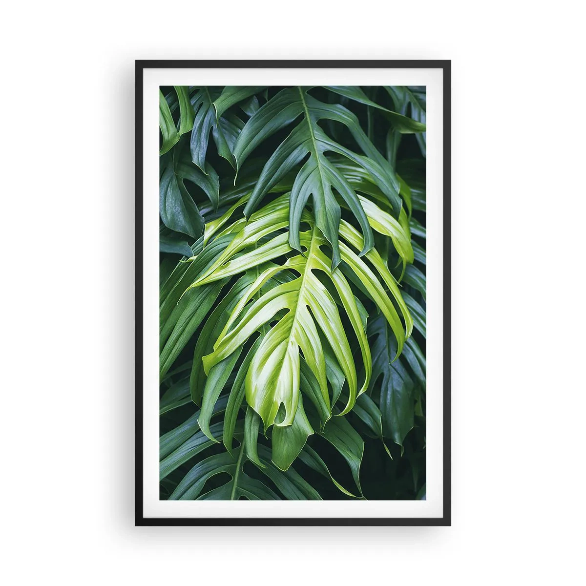 Affisch i svart ram - Doppa sig i fräschheten - 61x91 cm