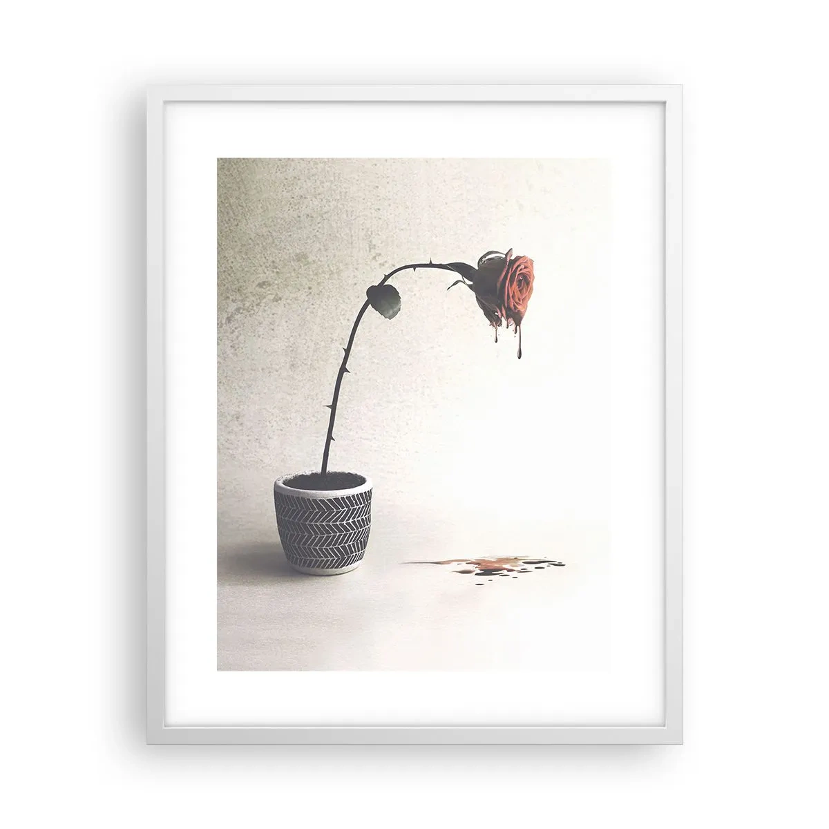 Affisch i vit ram - Rosa dolorosa - 40x50 cm