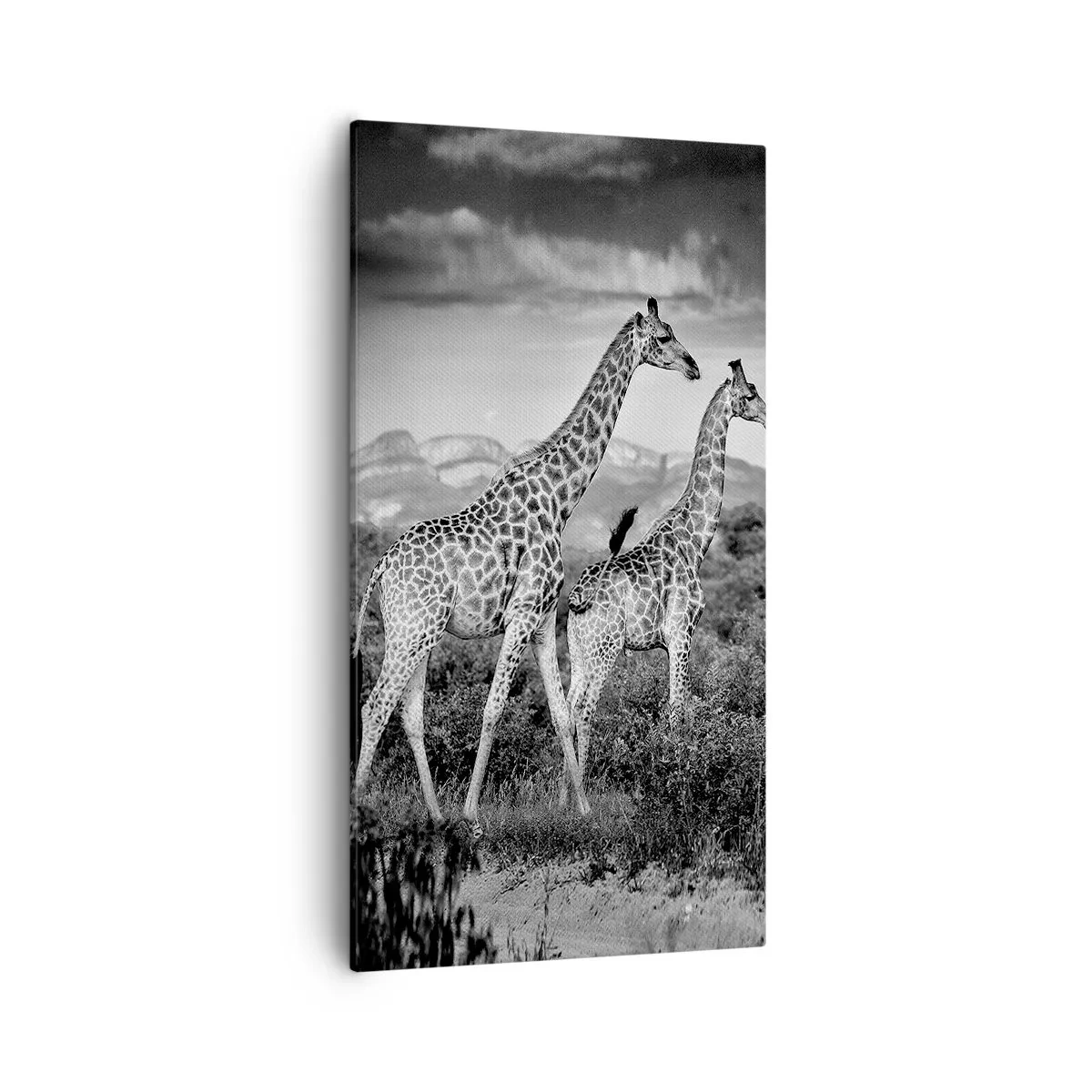 Canvastavla - Bild på duk - Högre klasser i Afrika - 55x100 cm