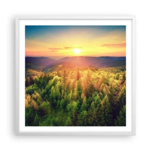 Affisch i vit ram - Trädtoppar och bergstoppar - 60x60 cm