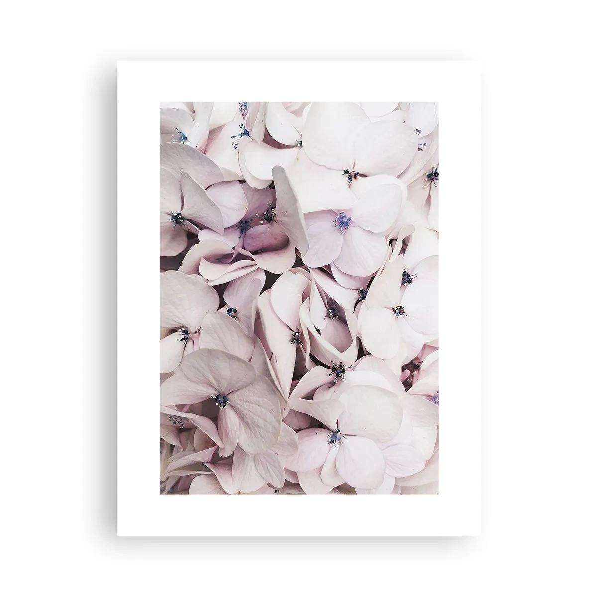 Affisch - I en flod av blommor - 30x40 cm