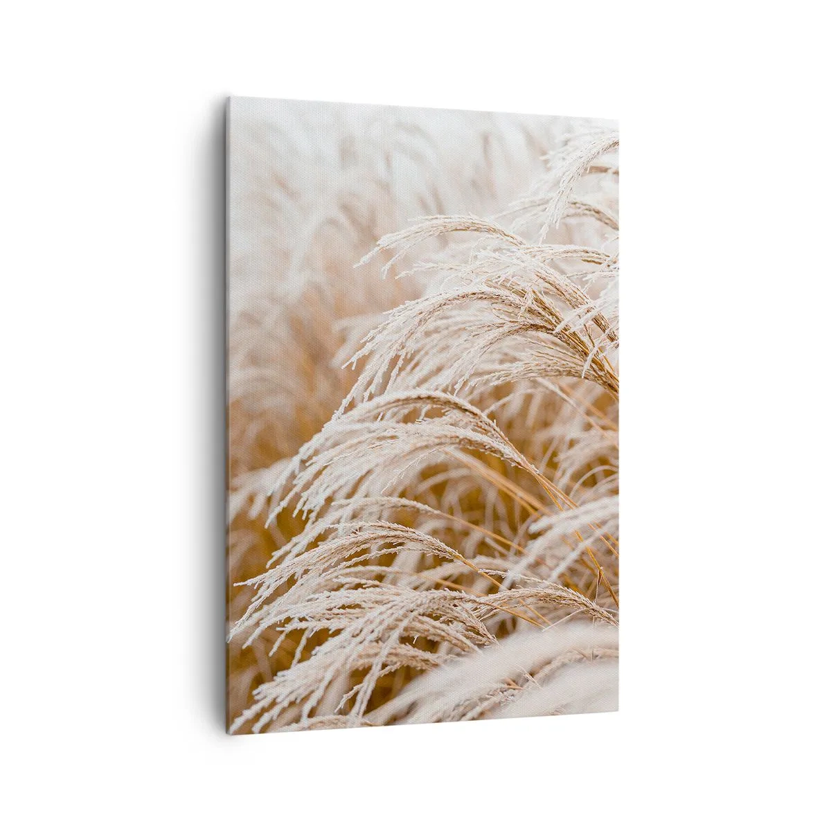 Canvastavla - Bild på duk - Buga för höstsolen - 70x100 cm