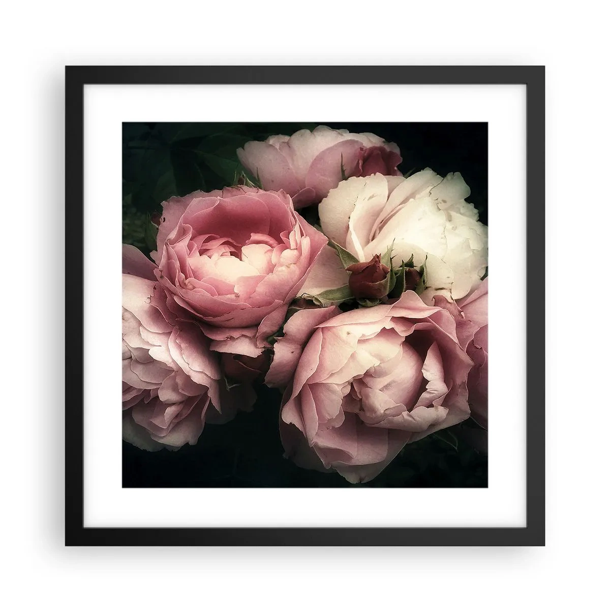 Affisch i svart ram - Belle epoque charm - 40x40 cm
