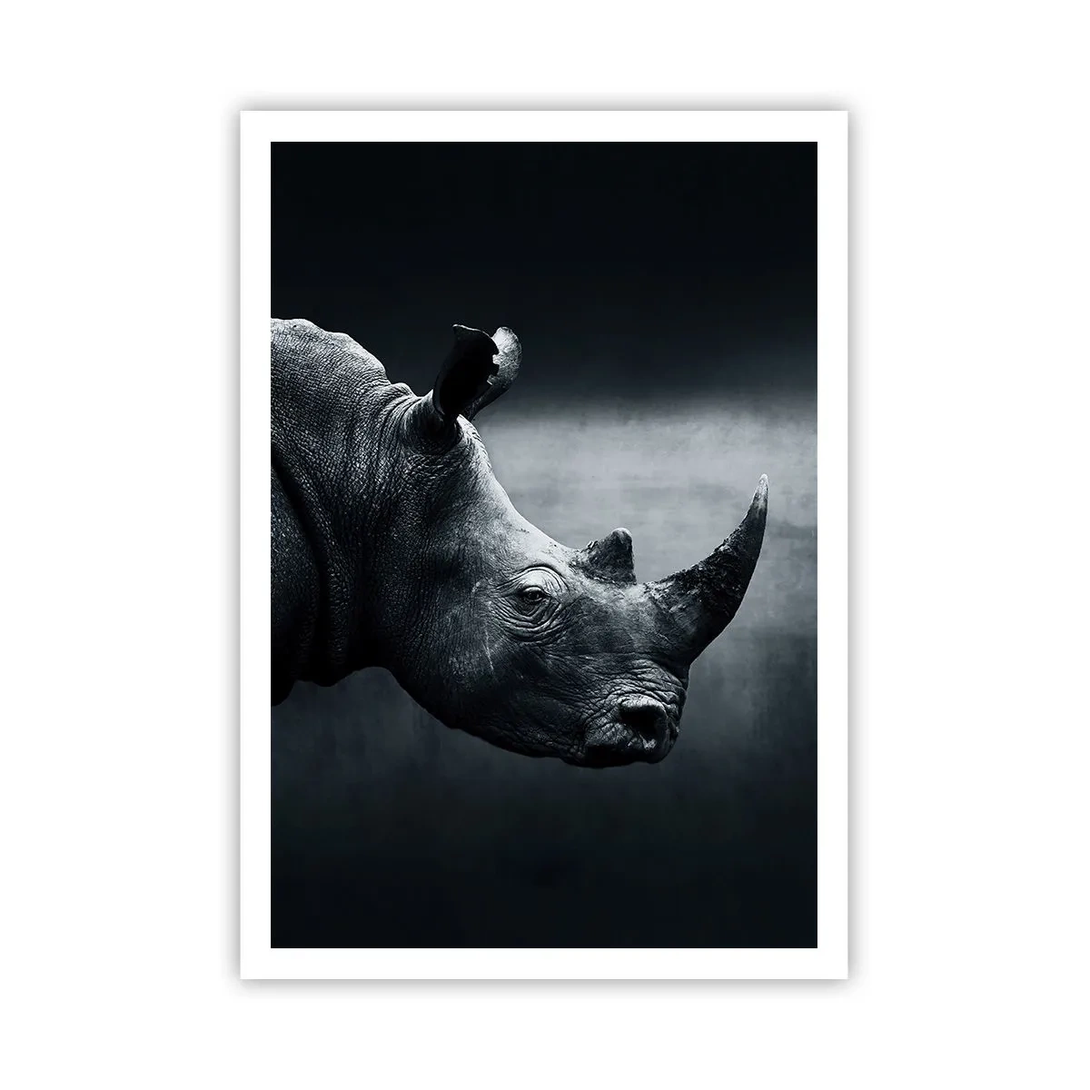 Affisch - Höger profil - 70x100 cm