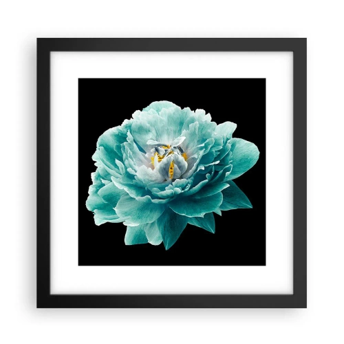 Affisch i svart ram - Blå och gyllene kronblad - 30x30 cm