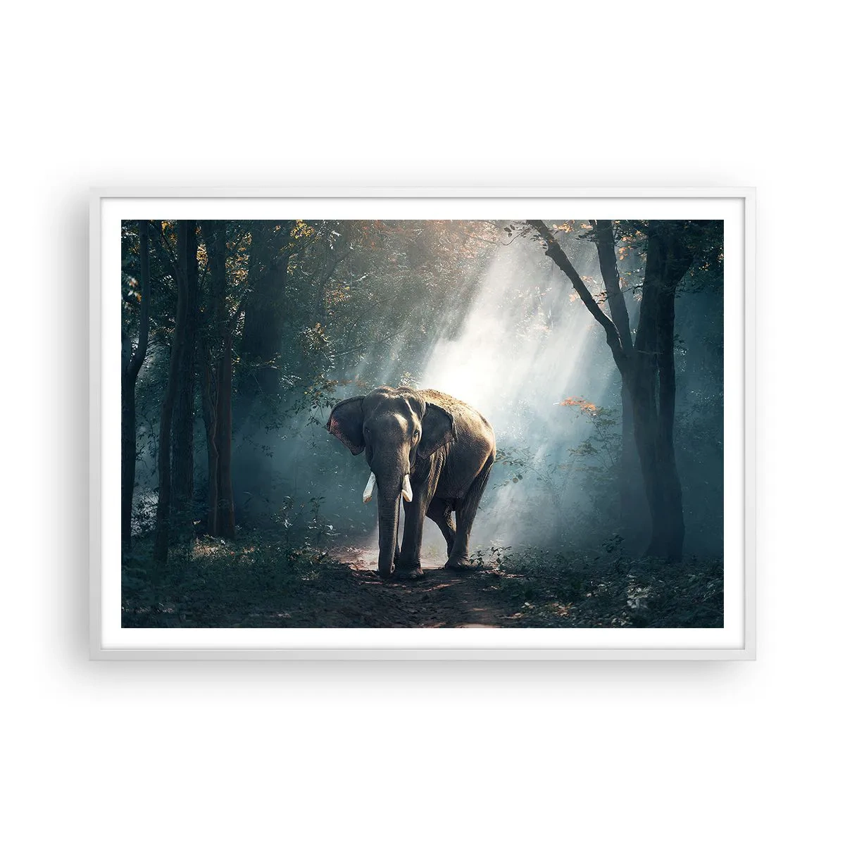 Affisch i vit ram - Lugn promenad - 100x70 cm