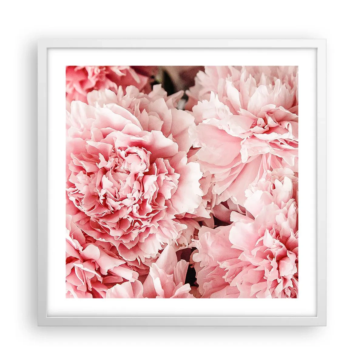 Affisch i vit ram - Rosa dröm - 50x50 cm
