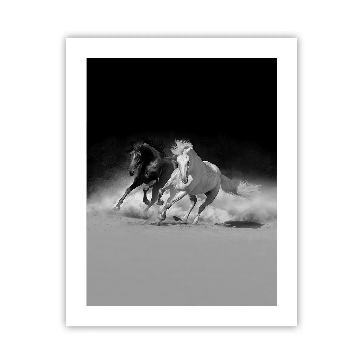 Affisch - Frihetens galopp - 40x50 cm