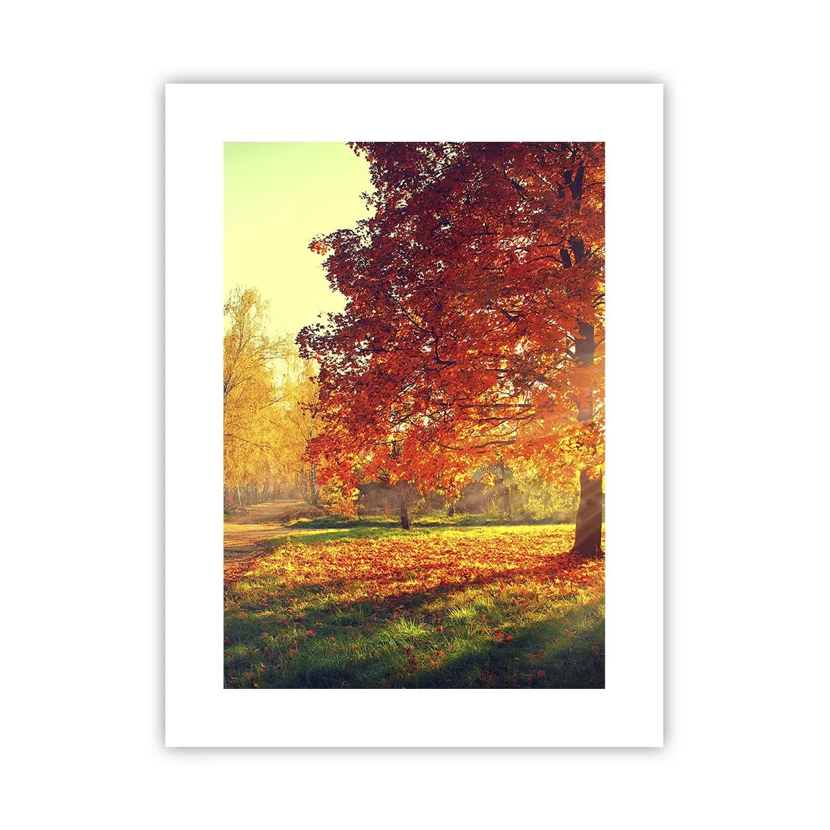 Affisch - Rött är vackert - 30x40 cm