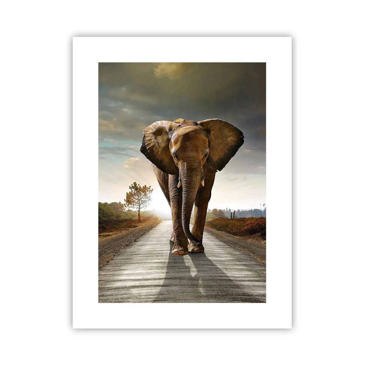 Affisch - Inte alls i en porslinsbutik - 30x40 cm