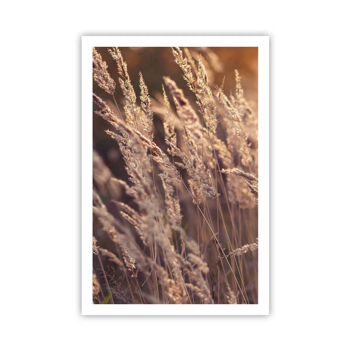 Affisch - Redo att välkomna hösten - 61x91 cm