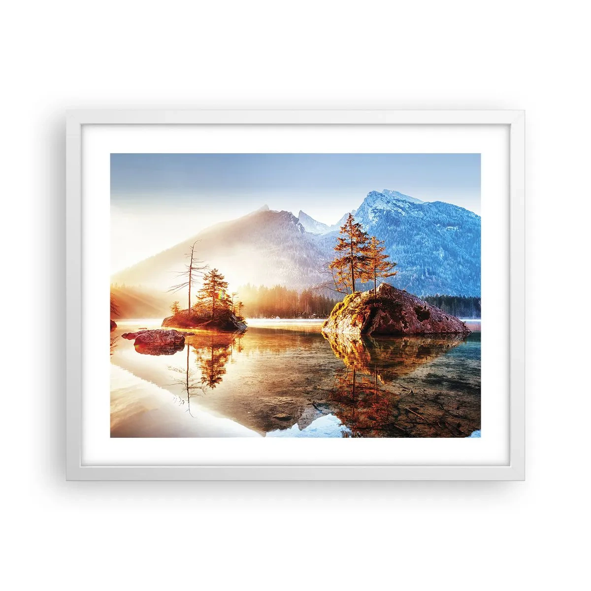 Affisch i vit ram - Naturen i ett nytt ljus - 50x40 cm