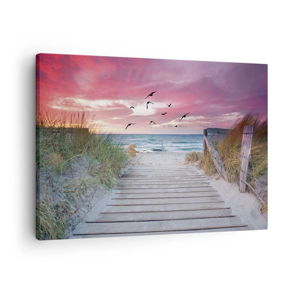 Canvastavla - Bild på duk - Trästig på stranden vid rosa solnedgång - 70x50cm - Östersjöimpression - Modern väggdekoration för vardagsrum och sovrum ARTTOR