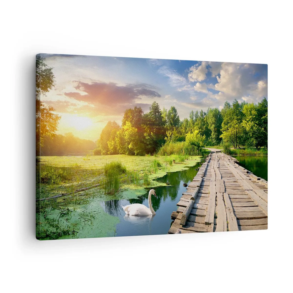 Canvastavla - Bild på duk - Ett pittoreskt landskap med en bro och en svan - 70x50cm - Sommar, sommar överallt - Modern väggdekoration för vardagsrum och sovrum ARTTOR