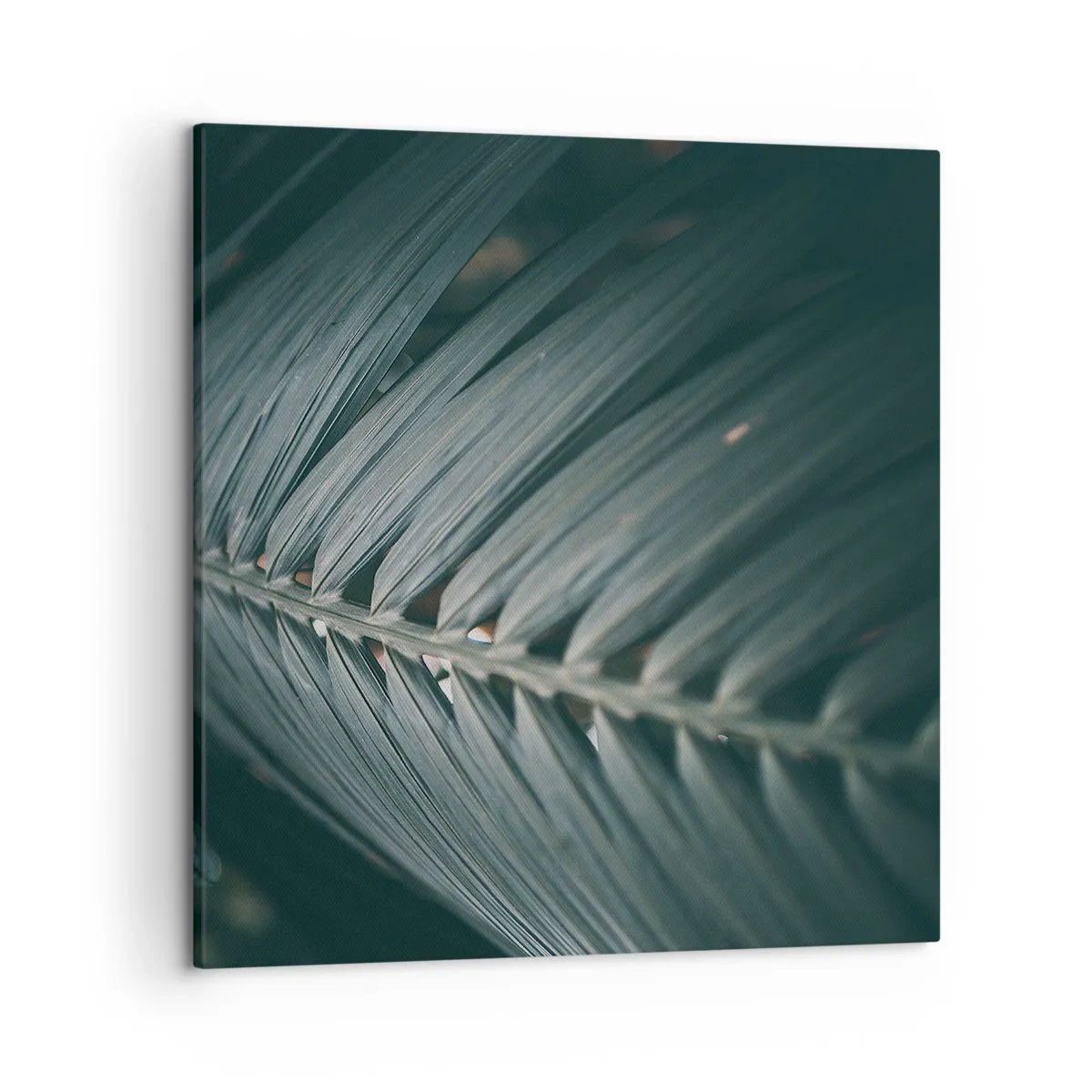 Canvastavla - Bild på duk - Naturens precision - 50x50 cm