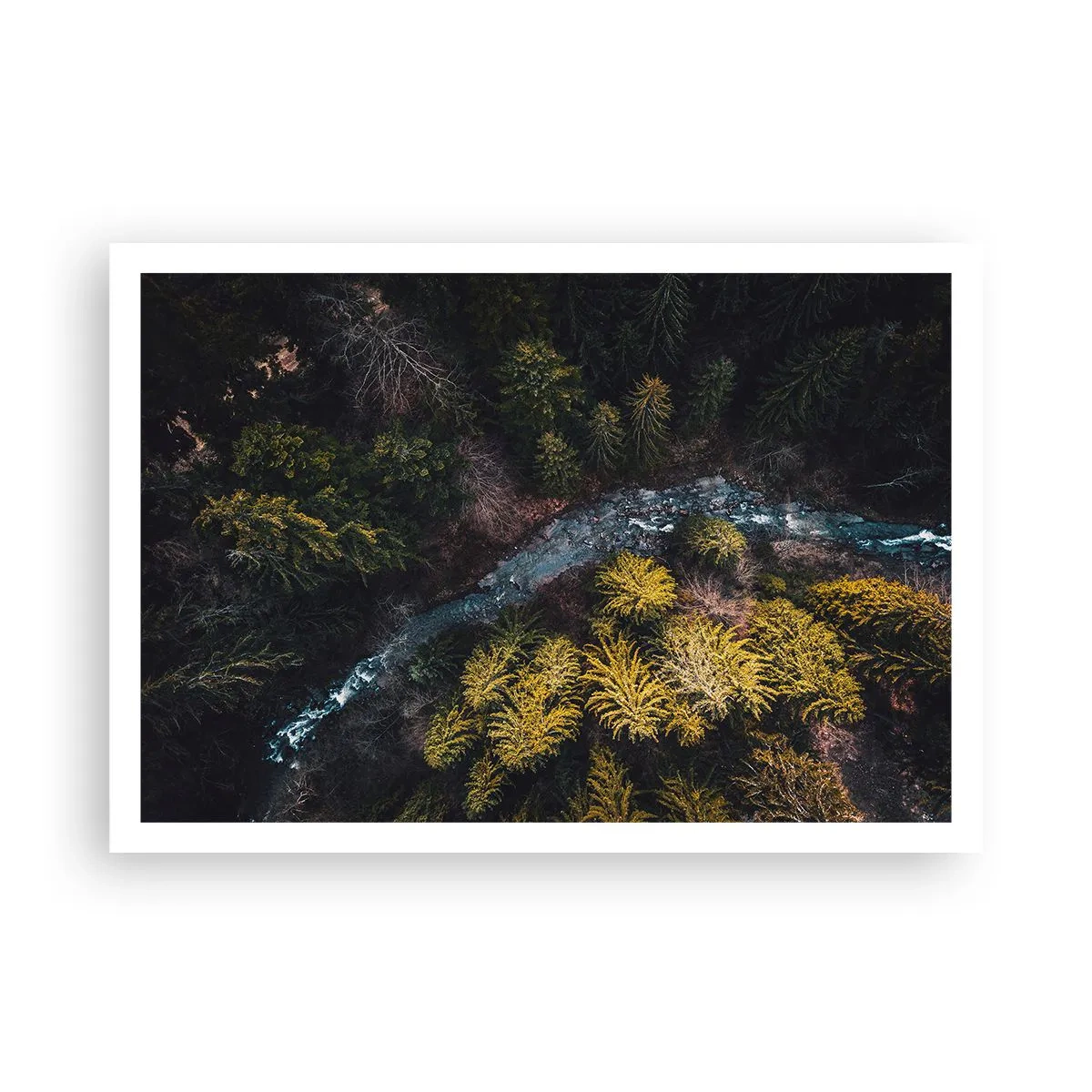Affisch - Snabbt, allt snabbare - 100x70 cm