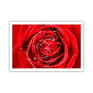 Affisch - Daggdroppar - 91x61 cm