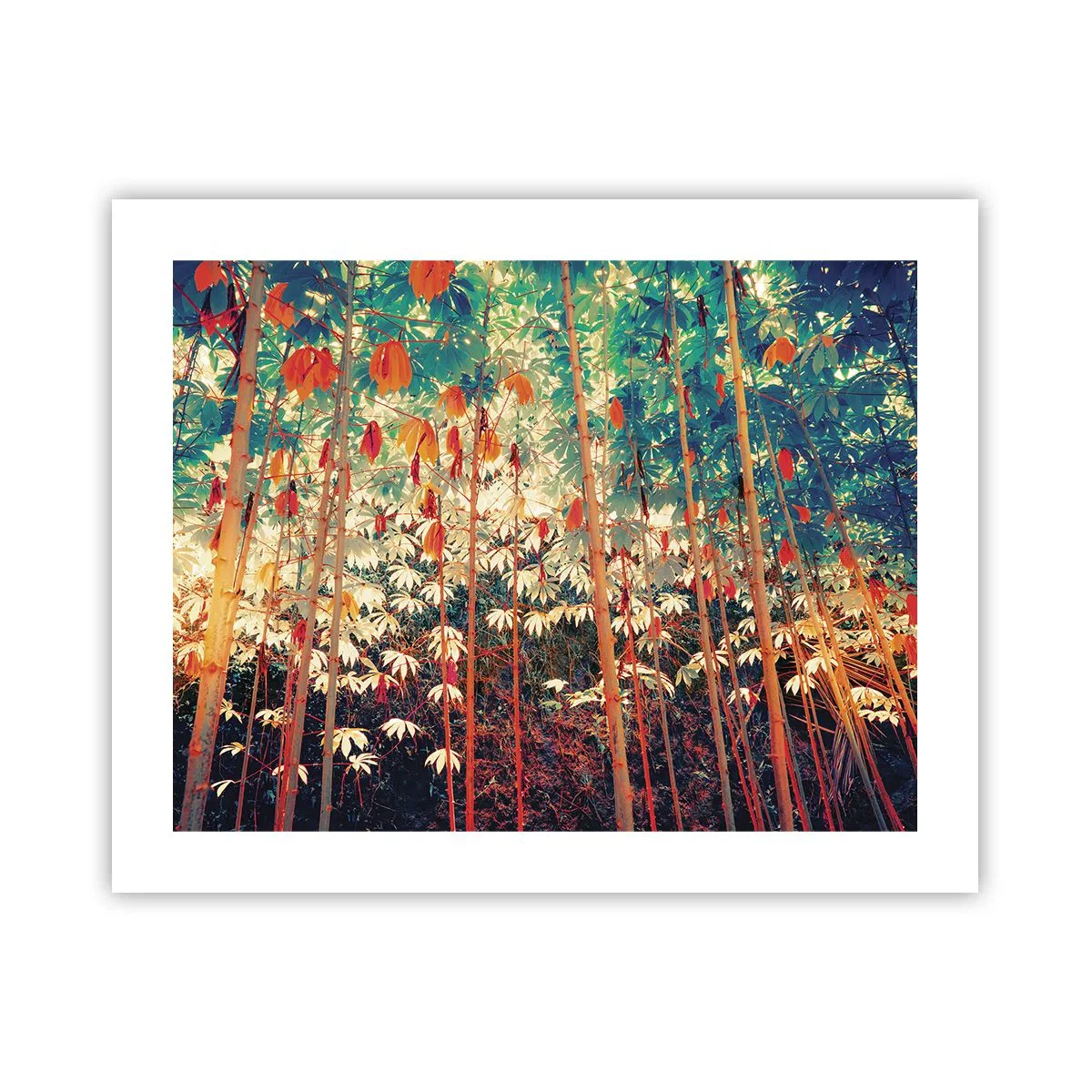 Affisch - Lövbladens hemlighetsfulla liv - 50x40 cm