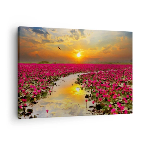 Canvastavla - Bild på duk - Ett fält av rosa näckrosor vid solnedgången - 70x50cm - Sjöns hemlighetsfulla liv - Modern väggdekoration för vardagsrum och sovrum ARTTOR