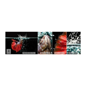 Provbit av självhäftande fototapet Deluxe Sticker - Du har tre önskemål - Abstraktion, Akvarium, Fisk - 100x30 cm