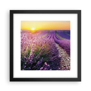 Affisch i svart ram - Doftande åkermark - 30x30 cm