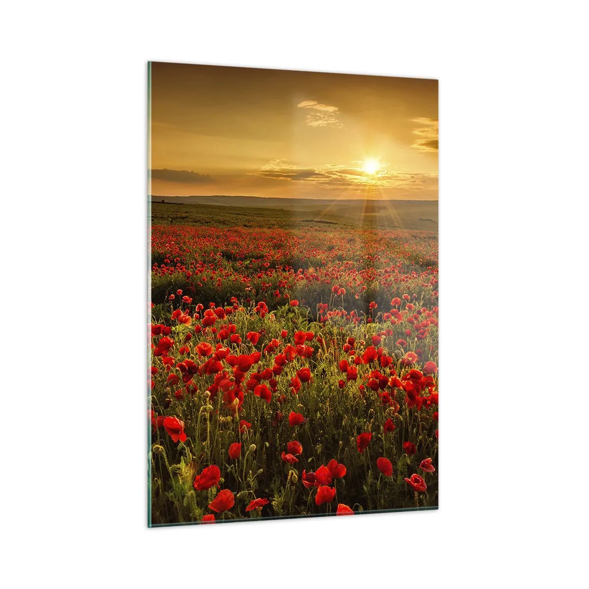 Glastavla - Bild på glas - Bland brusande ängars vågor, bland blommornas flod - 50x70 cm