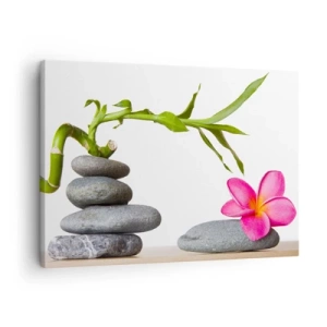 Canvastavla - Bild på duk - Bambu och rosa blomma på zen-stil stenar - 70x50cm - Livets färger och varaktighet - Modern väggdekoration för vardagsrum och sovrum ARTTOR
