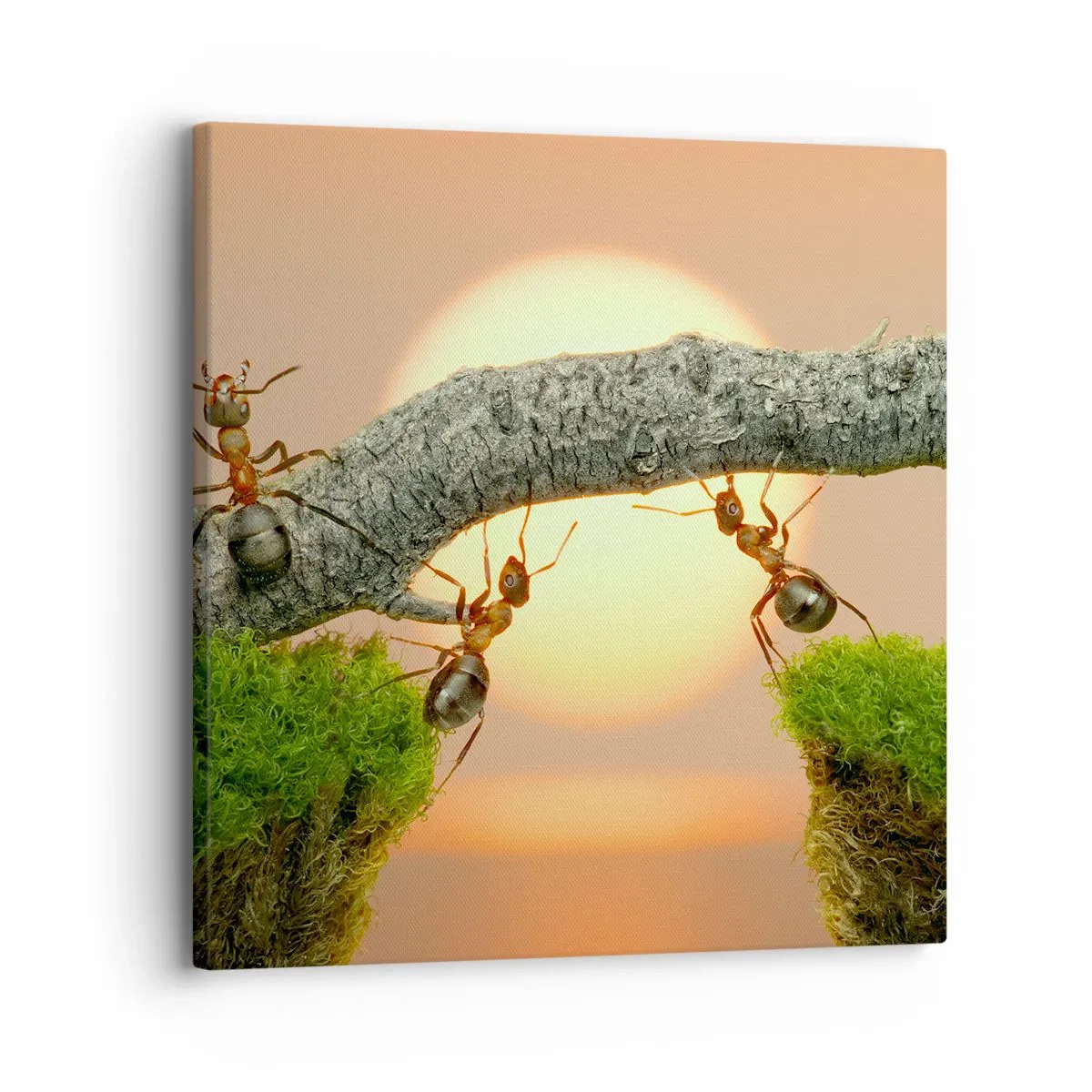 Canvastavla - Bild på duk - Glatt, gemensamt arbete - 30x30 cm