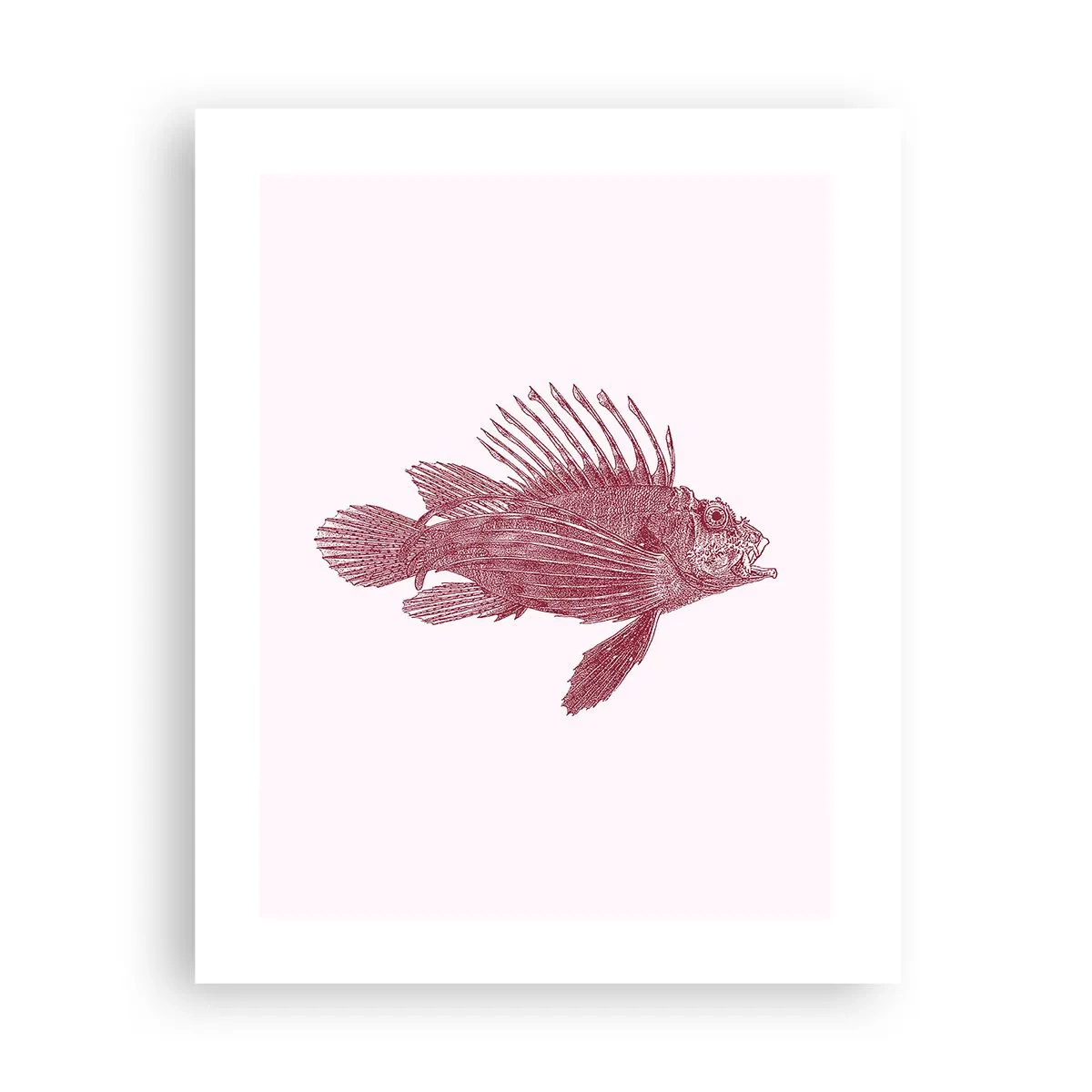 Affisch - En invånare i exotiska vatten - 40x50 cm