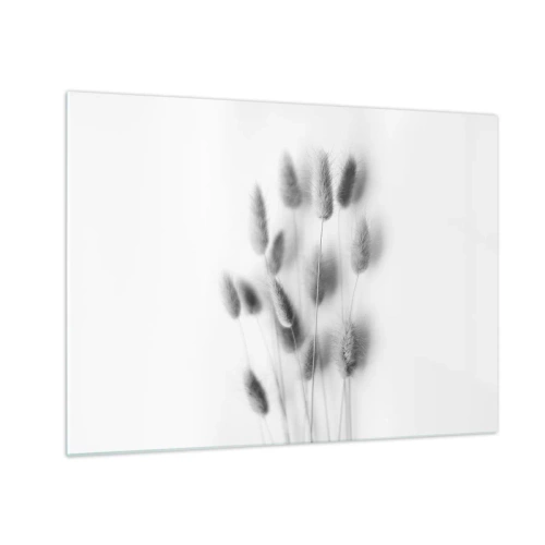 Glastavla - Bild på glas - Svarta och vita gräsöron på en ljus bakgrund i minimalistisk stil - 70x50cm - Fluffigt gräs - Modern väggdekoration för vardagsrum och sovrum ARTTOR